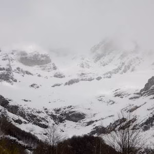 Montana nevado nieve paisaje valle pineta