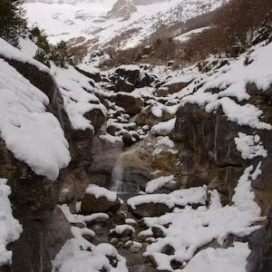 Montana nevado nieve paisaje valle pineta