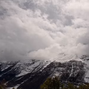 Montana nevado nieve paisaje valle pineta