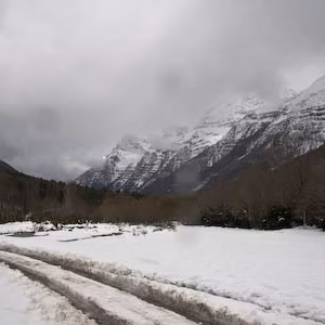 Huellas montana nevado nieve paisaje valle pineta