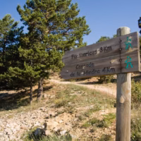 Paisaje senales