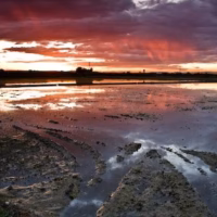 Agua albufera arrozales atardecer campos arroz reflejos silla sol valencia