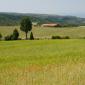 014_-_campos_casa_masia_paisaje_trigo