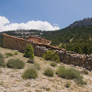 Campos casa masia paisaje trigo