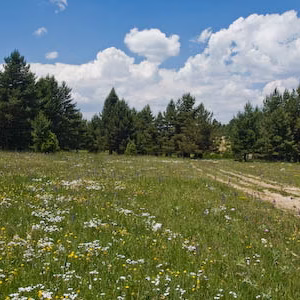 Paisaje