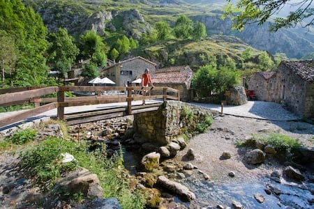 Puente de entrada a Bulnes