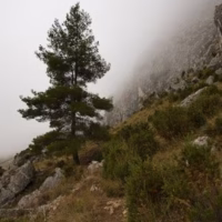 Bernia montana paisaje sierra