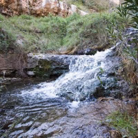 Arroyo monduver