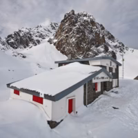 Midi d osaau pombie refugio