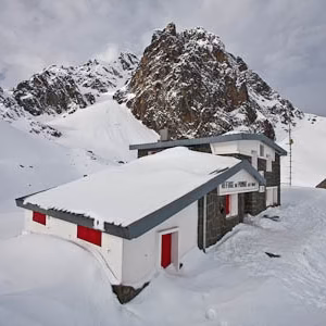 Midi d osaau pombie refugio