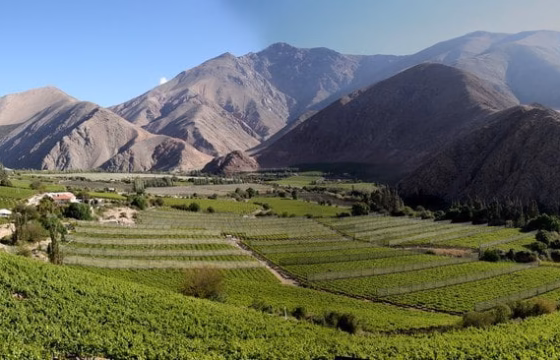 Terraza de viñedos en un valle montañoso