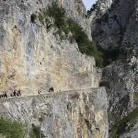 Actividades en Asturias, ruta del Cares y descenso del Sella. 2