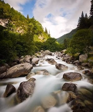 Río de montaña con rápidos entre rocas y bosque