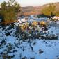 Año de nieves, año de bienes 22