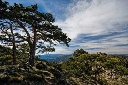 Subida a la cumbre del Peñagolosa (1.813 m.) 2