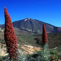 teide-6