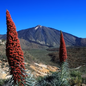 teide-6