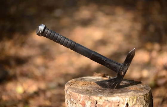 Hacha clavada en un tronco de madera al aire libre