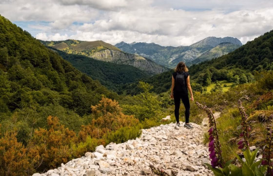 Senderista en un camino de piedra entre montañas verdes
