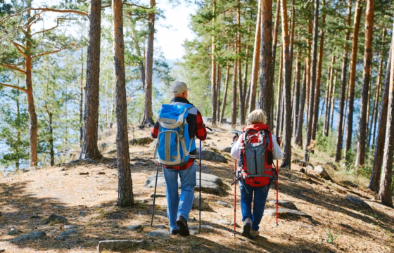 Familia caminando con mochilas por un sendero de pinos