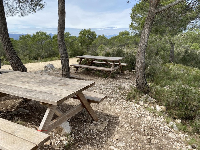 Dos mesas de picnic de madera bajo pinos, con vistas a las montañas al fondo