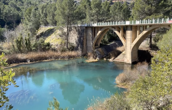 Puente de carretera con arcos de piedra sobre una poza de agua turquesa rodeada de pinos