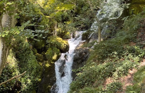 Nacedero del Zirauntza, en Araia 3