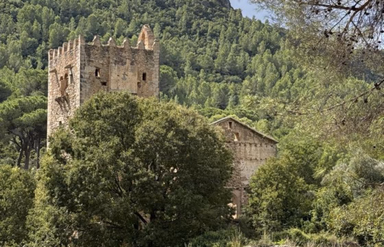 Torre en ruinas del Monasterio de los Jerónimos de la Murta entre árboles, con una balsa en primer plano y la sierra detrás